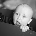 Gal_131805_0125 copy